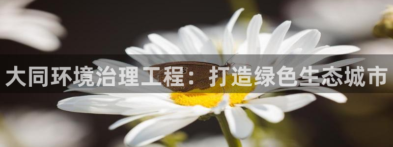 凯发k8旗舰厅注册登录：大同环境治理工程