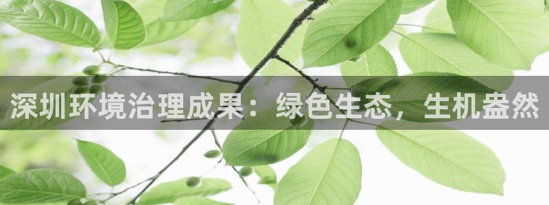 凯发k8一触即发|深圳环境治理成果：绿色