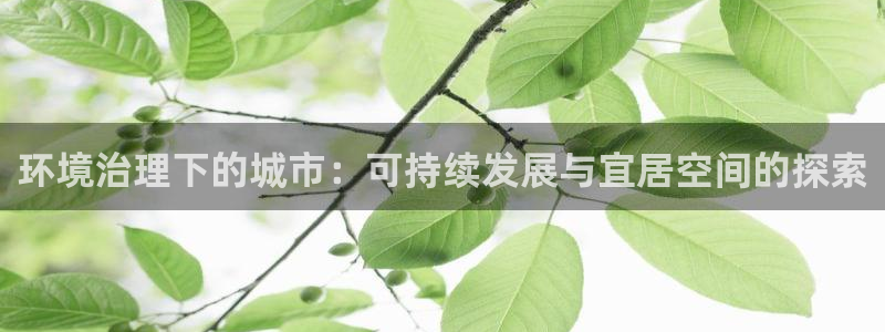 凯发k8官网备用网址|环境治理下的城市：