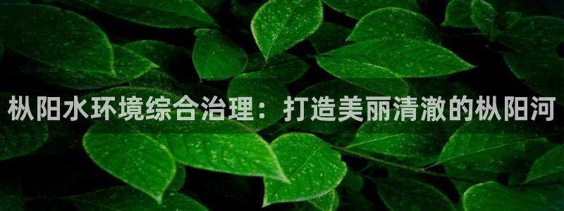 凯发k8官网登录vip|枞阳水环境综合治