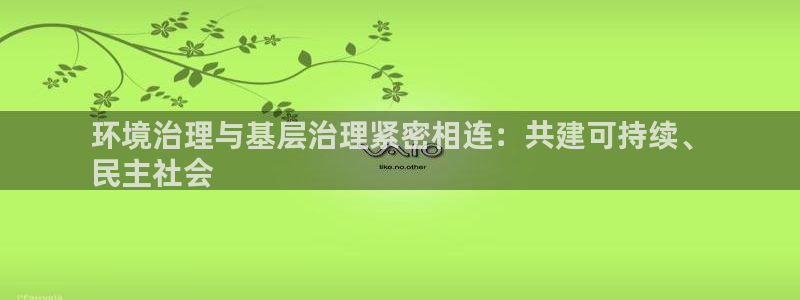 凯发k8一触即发|环境治理与基层治理紧密相连：共建可持续、
民主社会