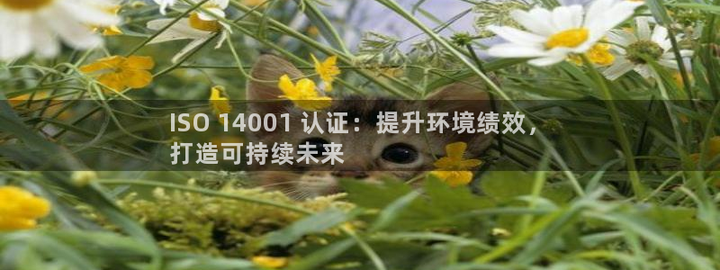 凯发k8一触即发|ISO 14001 认证：提升环境绩效，
打造可持续未来