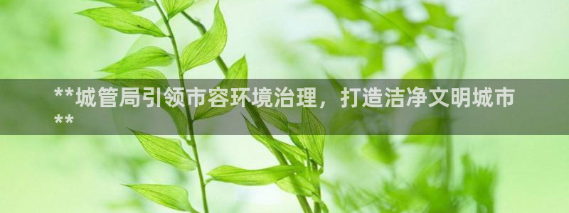 凯发k8旗舰厅注册登录|**城管局引领市